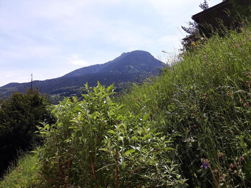 Fendt Apartment Berchtesgaden